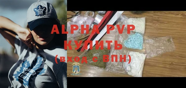 PSILOCYBIN Аркадак