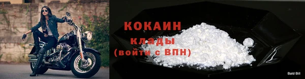 PSILOCYBIN Аркадак