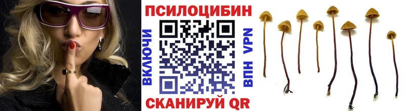 Псилоцибиновые грибы мицелий  что такое   Советская Гавань 